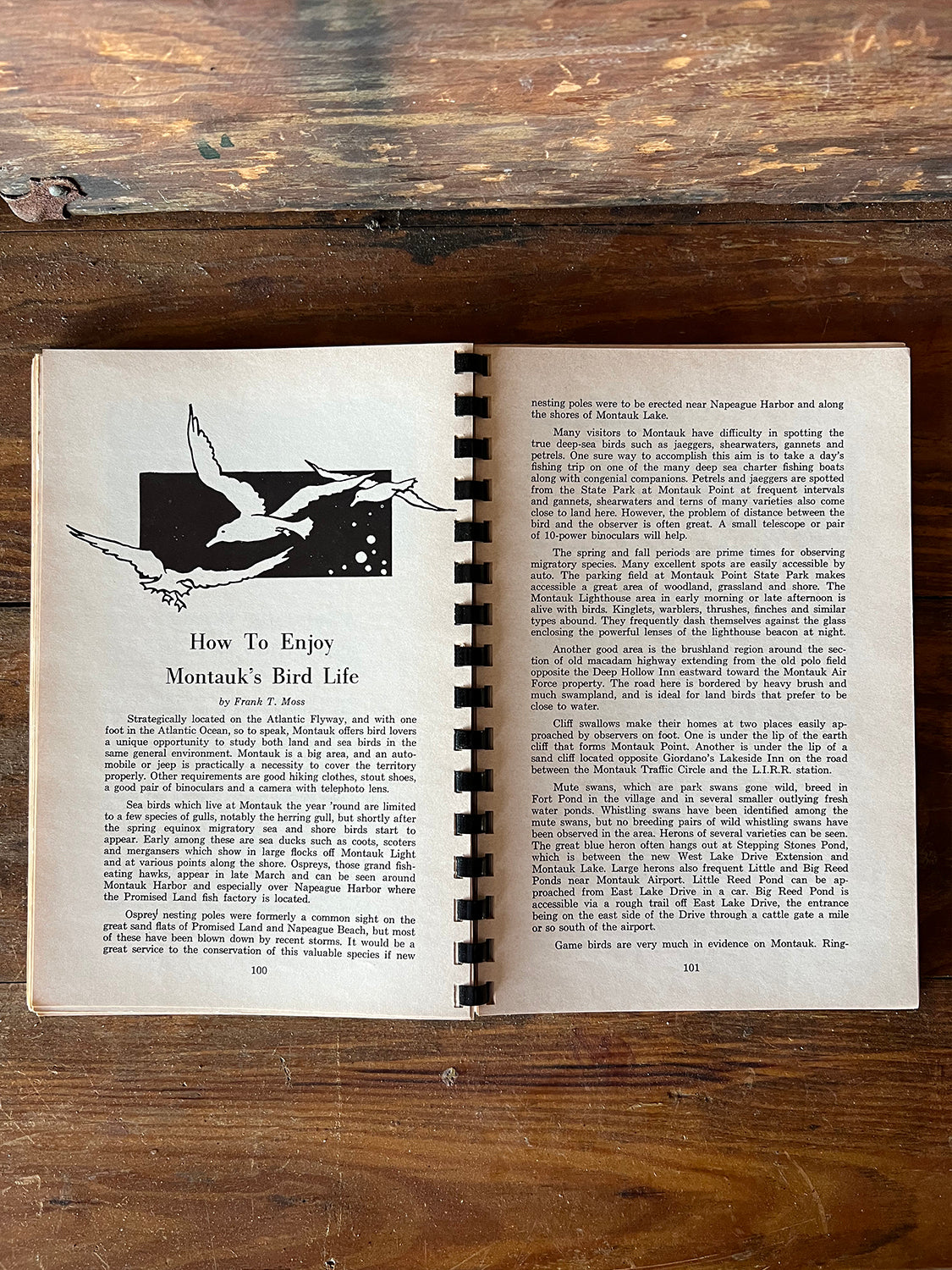 Montauk Guide & Cookbook - 1950s