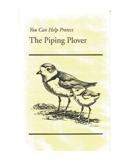 You Can Help Protect the Piping Plover - U.S. Fish and Wildlife Service